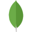 Mongo DB logo